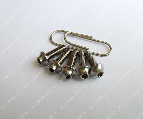 Titanium Mushroom Head Screw with Allen Key Inside for RC Hobby Cars