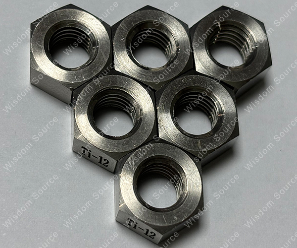 Hexagon Hex Head Machine Ti Gr.12 Titanium Hex Nut with Laser Marking