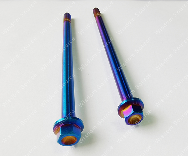 Titanium Alloy Gr5 Hex Flange Head Bolts with Dish Head